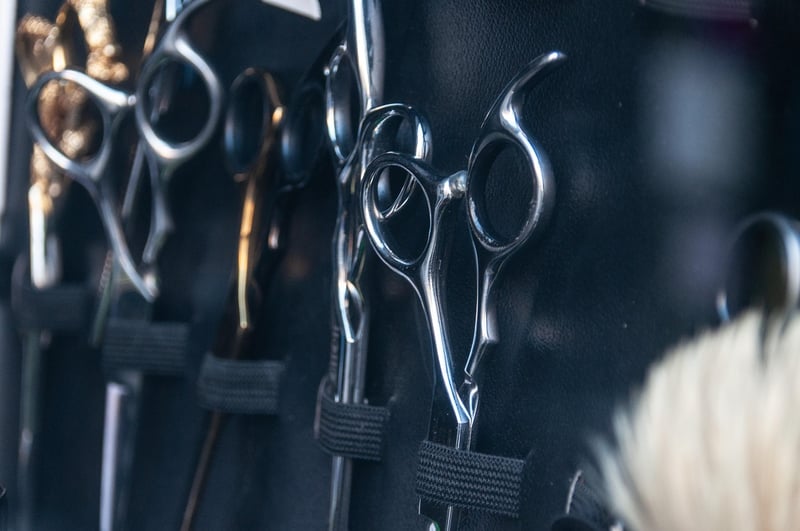 Magic shears